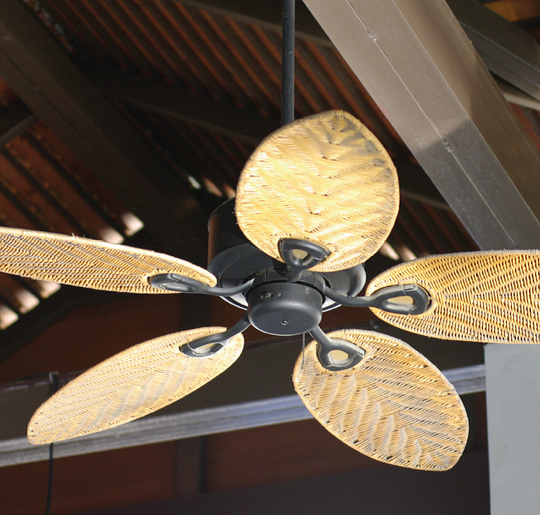 Ceiling Fan