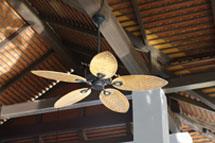 Ceiling Fan thumbnail