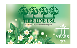 Tree Line 11 years