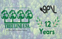 Tree Line USA Thumbnail new